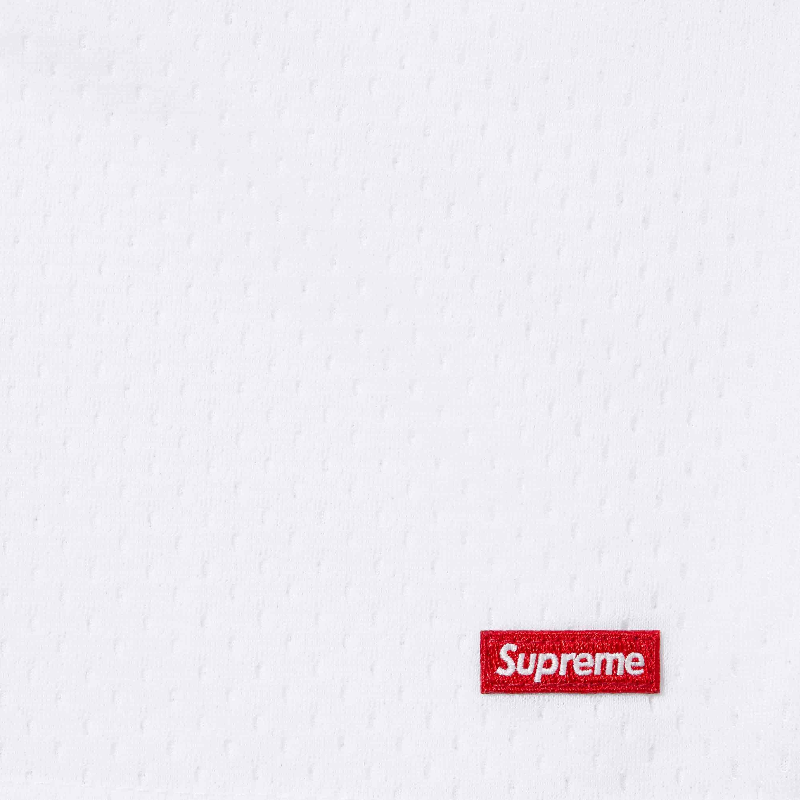 Small Box Baggy Mesh Short view 9